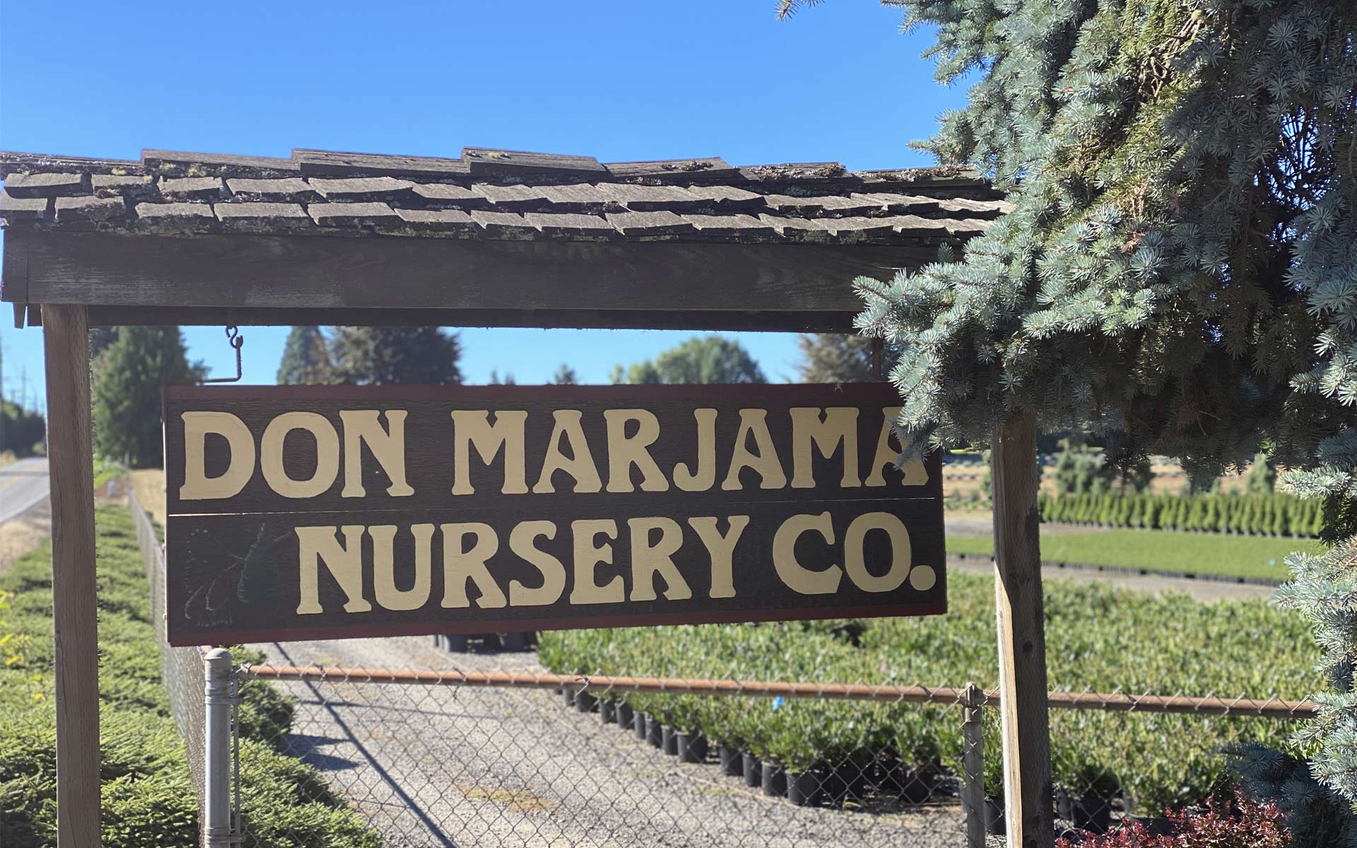 Don Marjama Nursery Video