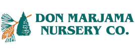 Don Marjama Nursery Logo